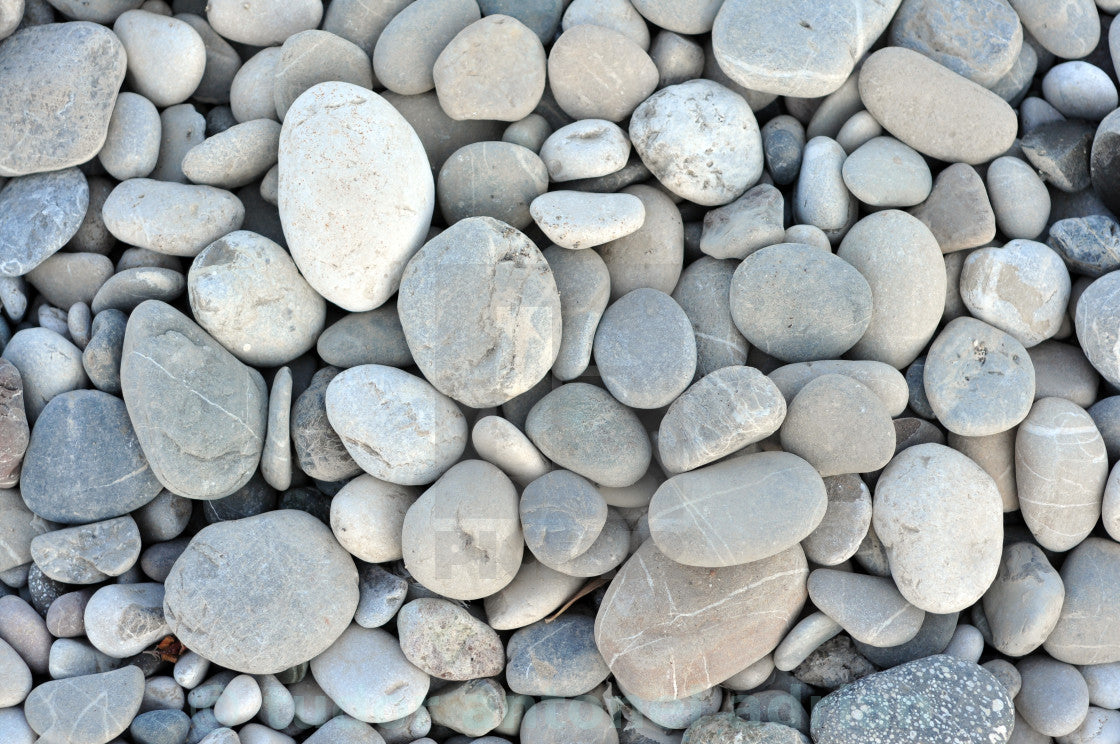 Bath, Body, Boutique, & Gifts